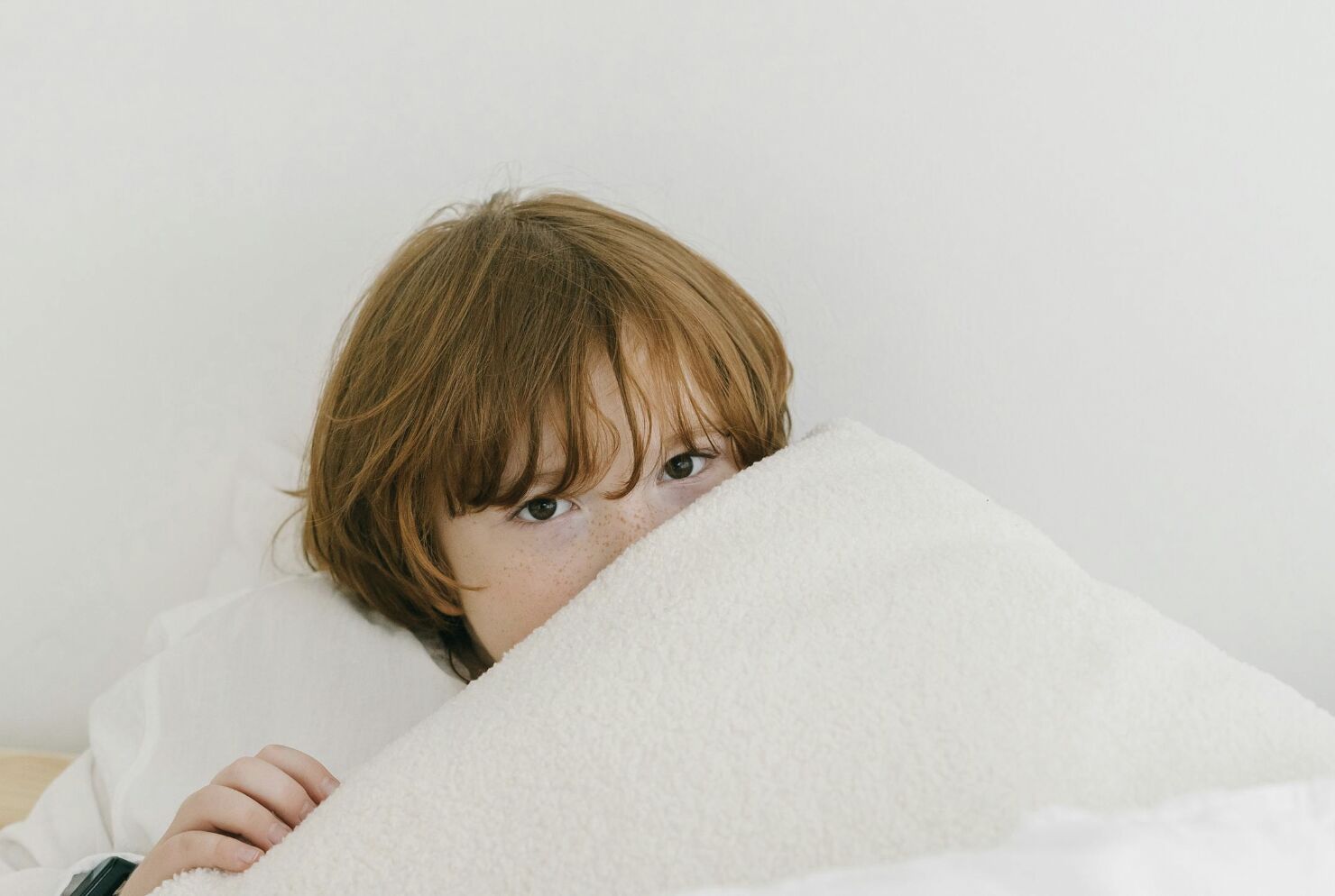 週六迎「小雪」適合麻油雞、薑母鴨進補...