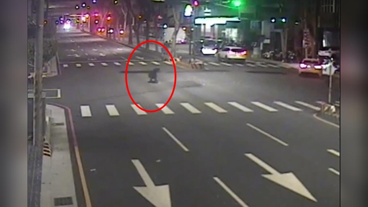 豪華休旅轉彎噴50萬鈔票雨! 路人幫撿追回近40萬