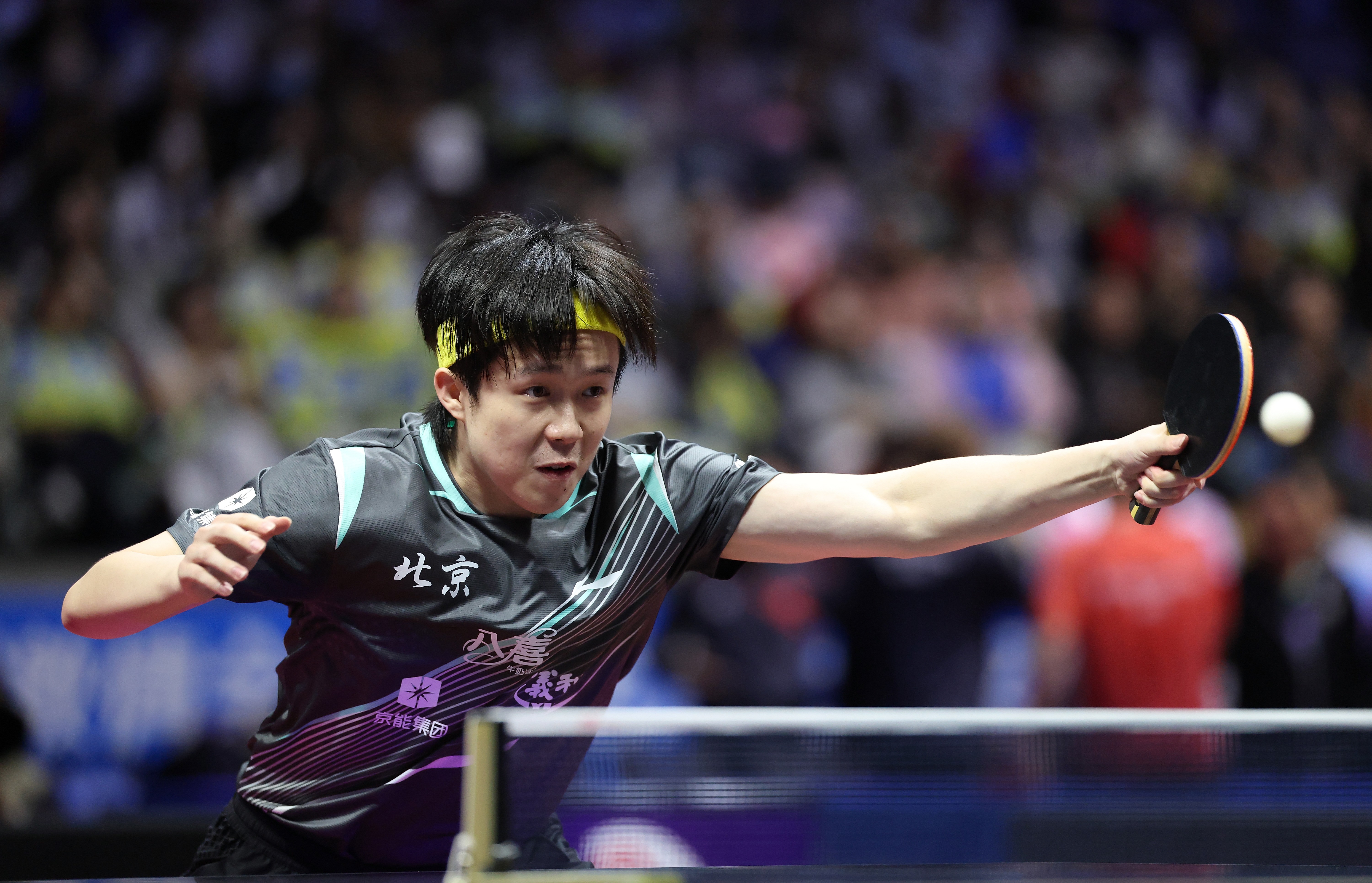 桌球》球王之戰！王楚欽輸球爆氣「頭槌...