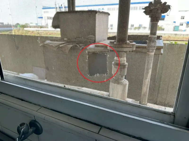 新竹、台南3家「營養午餐團膳業者」挨...