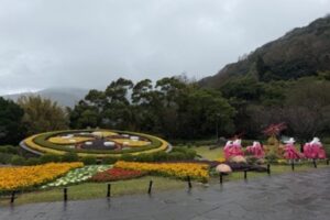 陽明山花季2月5日盛大開幕  北投警...